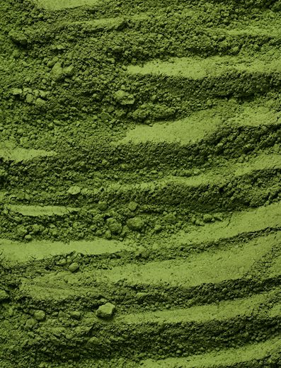 LE MATCHA - UN TRÉSOR VERT JAPONAIS AUX MULTIPLES VERTUS