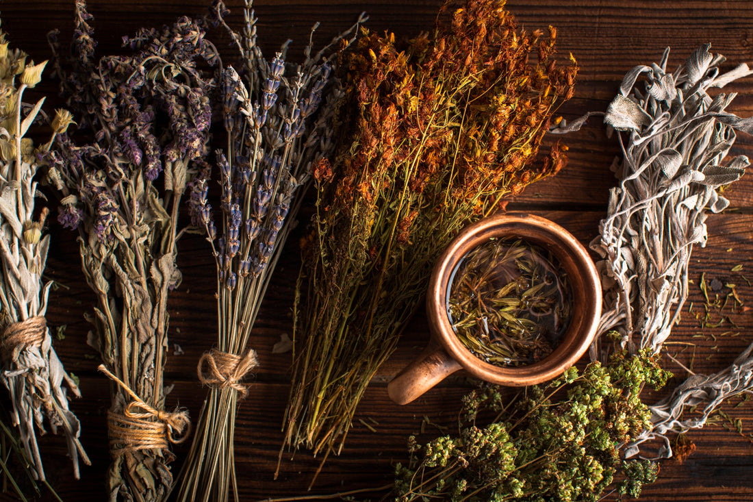 LES PLANTES MÉDICINALES - POUR PRENDRE SOIN DE VOUS