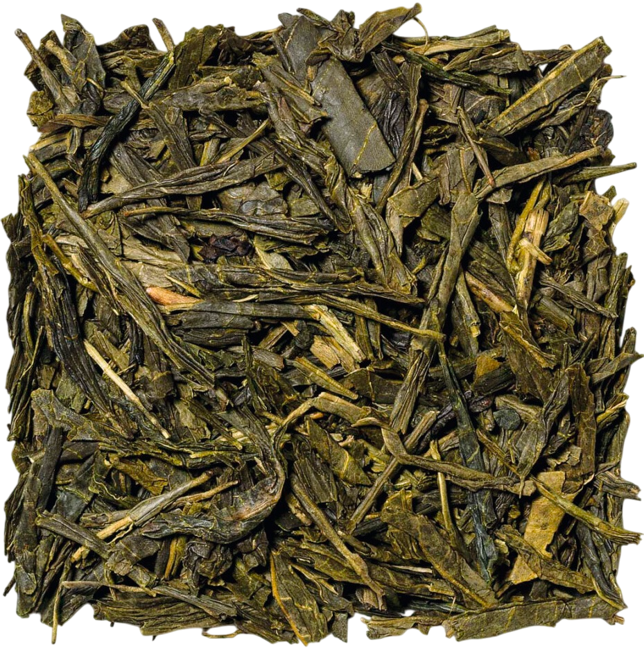 SENCHA CHINE