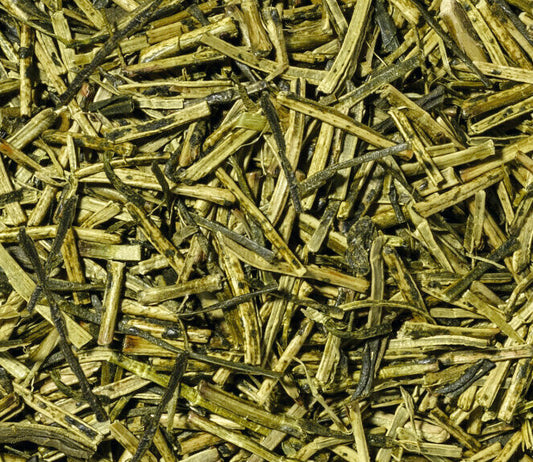 KUKICHA MOEGI PREMIUM