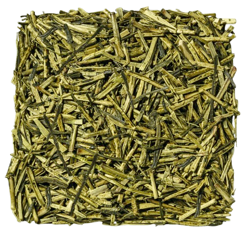 KUKICHA MOEGI PREMIUM